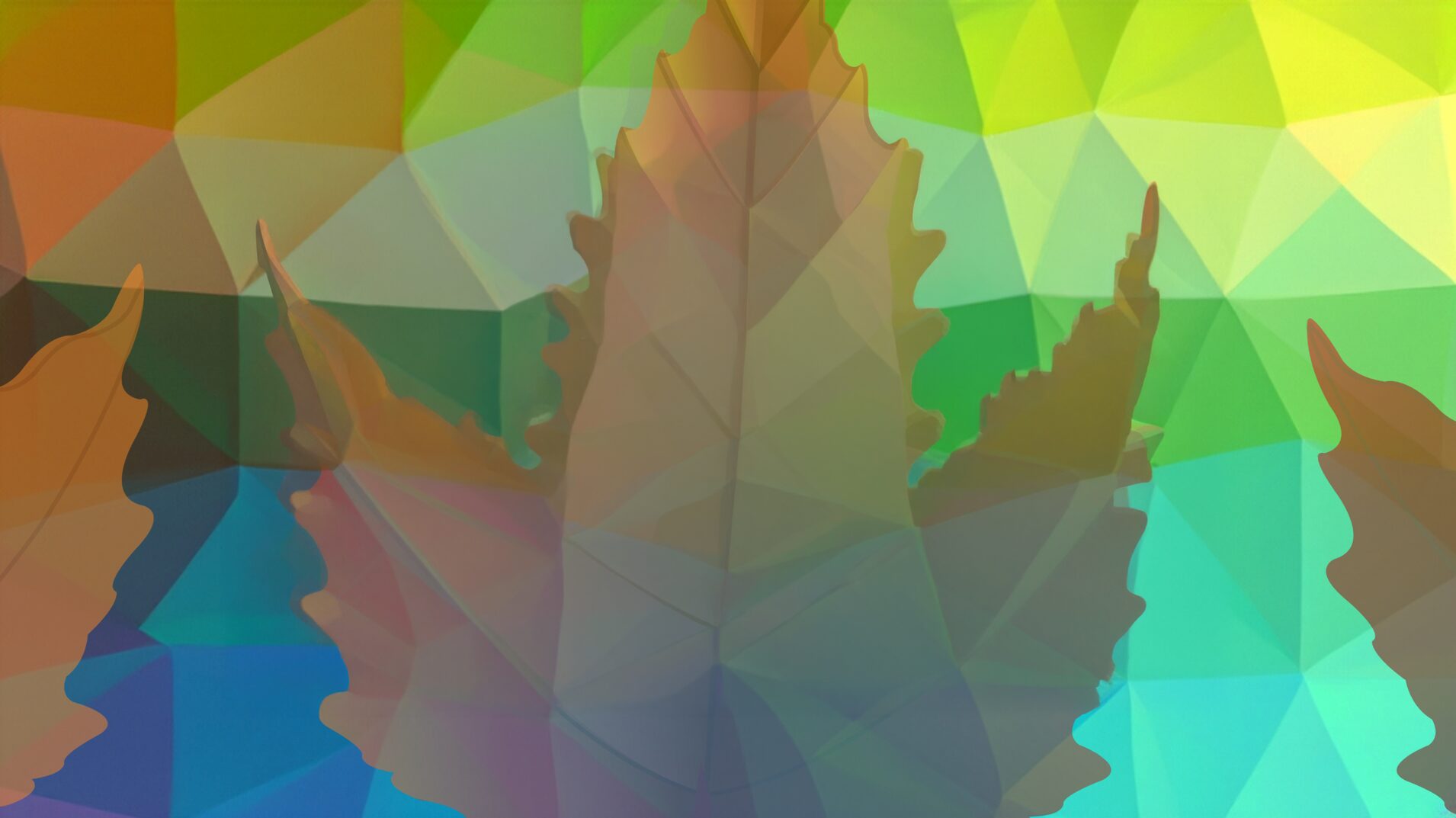 Report: 2024 AGM / Autumn Meeting